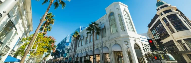 Terapia de compras en Los Ángeles